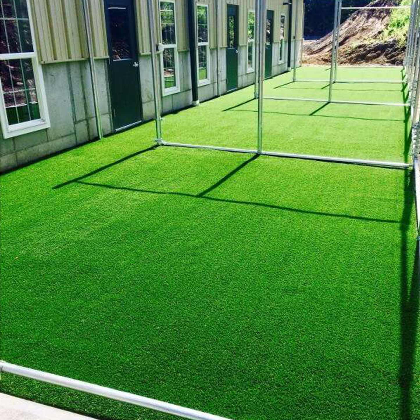 K9 Champion 15ft x 9ft