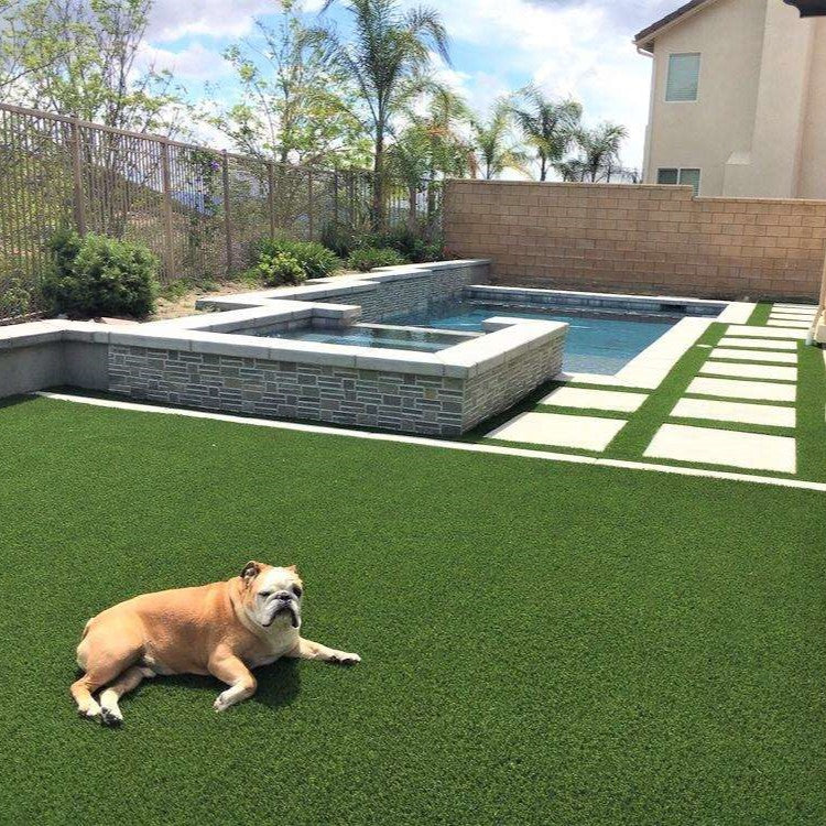 K9 Deluxe 15ft x 7ft