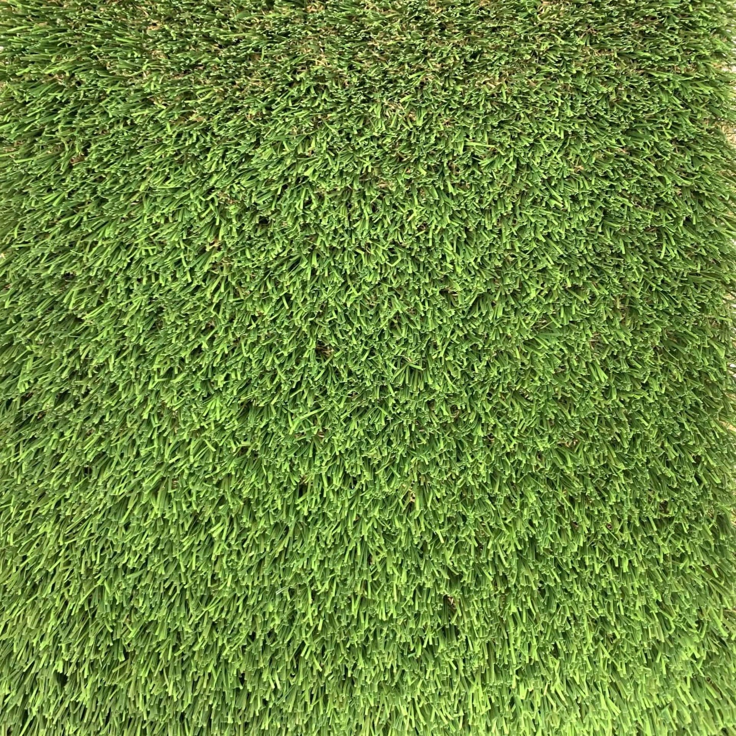 Tropical Platinum 15ft x 22ft