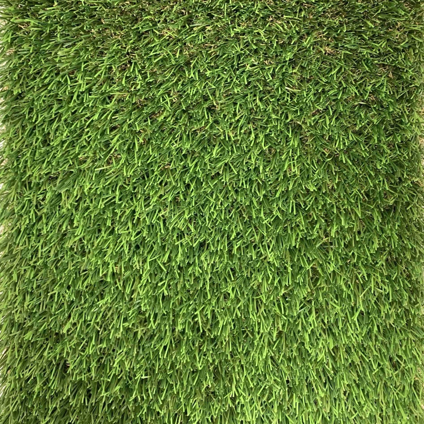 Tropical Premium 15ft x 9.5ft