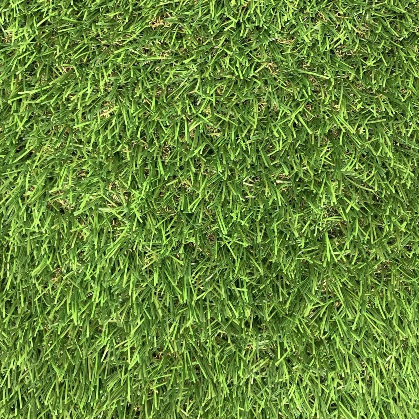 Tropical Multi 15ft x 10.3ft