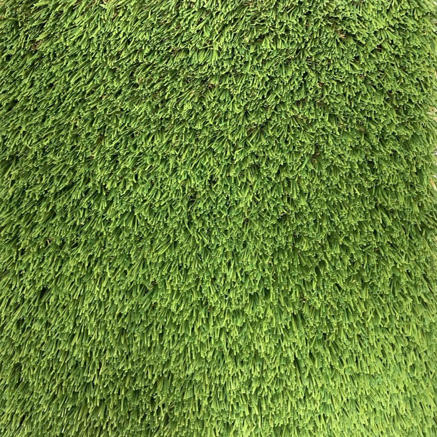 Natural Platinum 15ft x 50ft