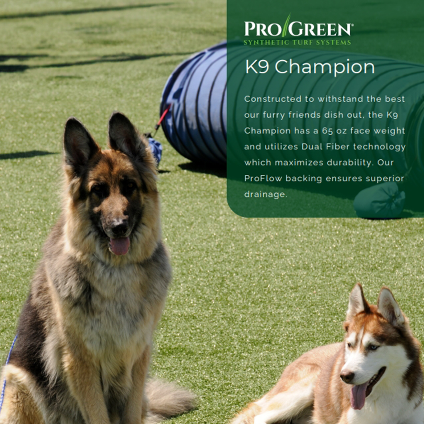 K9 Champion 15ft x 9ft