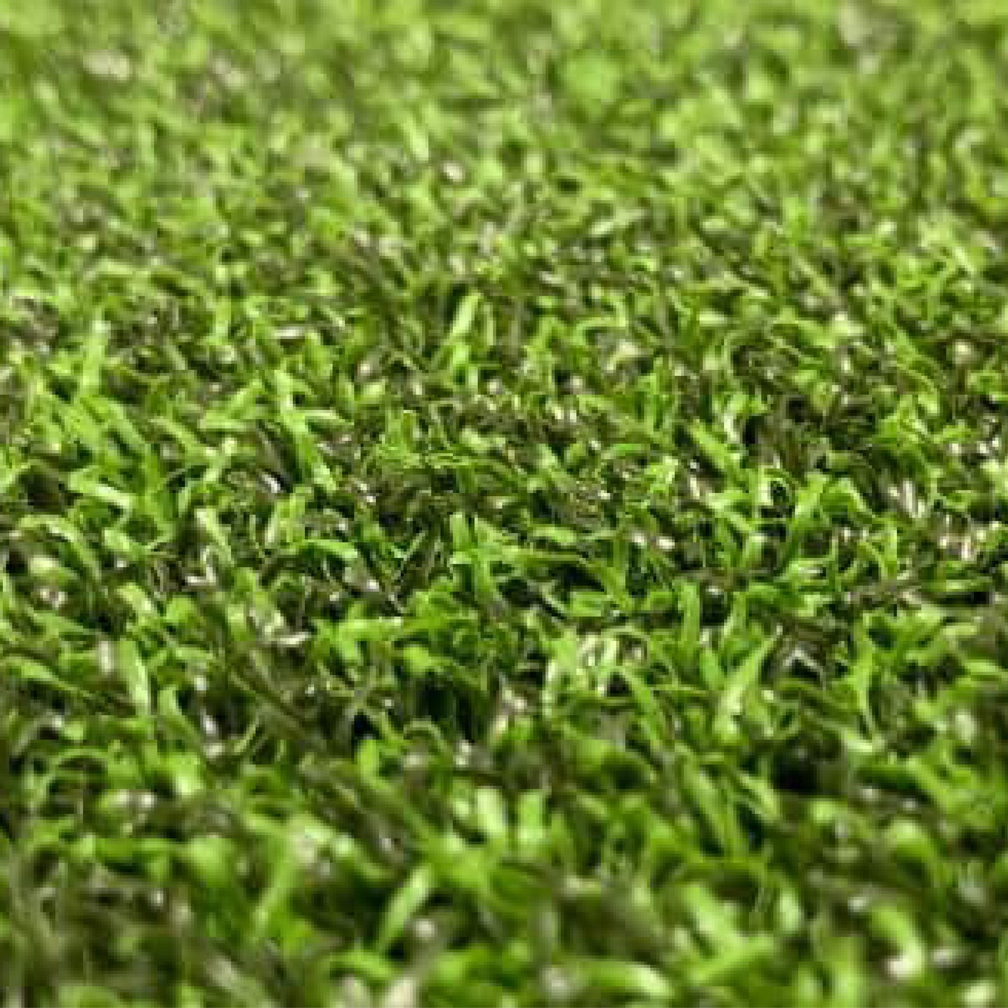 PG Augusta 15ft x 13ft