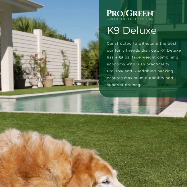 K9 Deluxe 15ft x 7ft